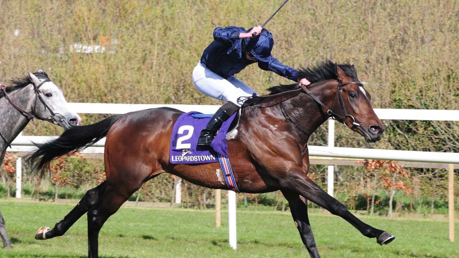Ryan Moore riding Bolshoi Ballet on their way to winning the P.W. McGrath Memorial Ballysax Stakes