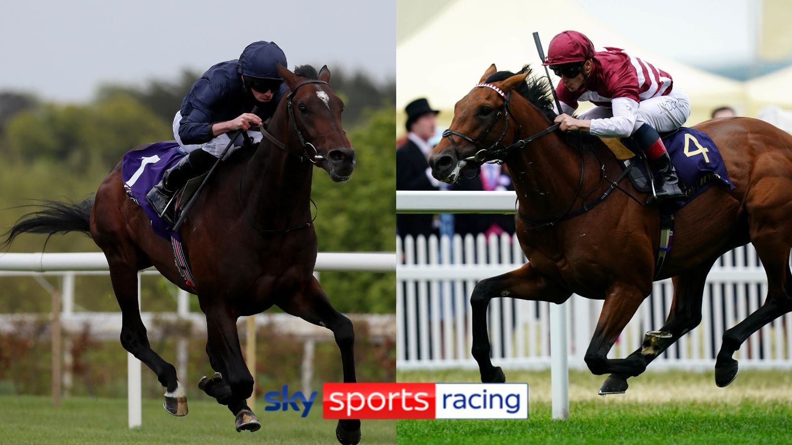 Bolshoi Ballet and Missed The Cut feature among 20 in Saturday's Listed Churchill Stakes at Lingfield, live on Sky Sports Racing
