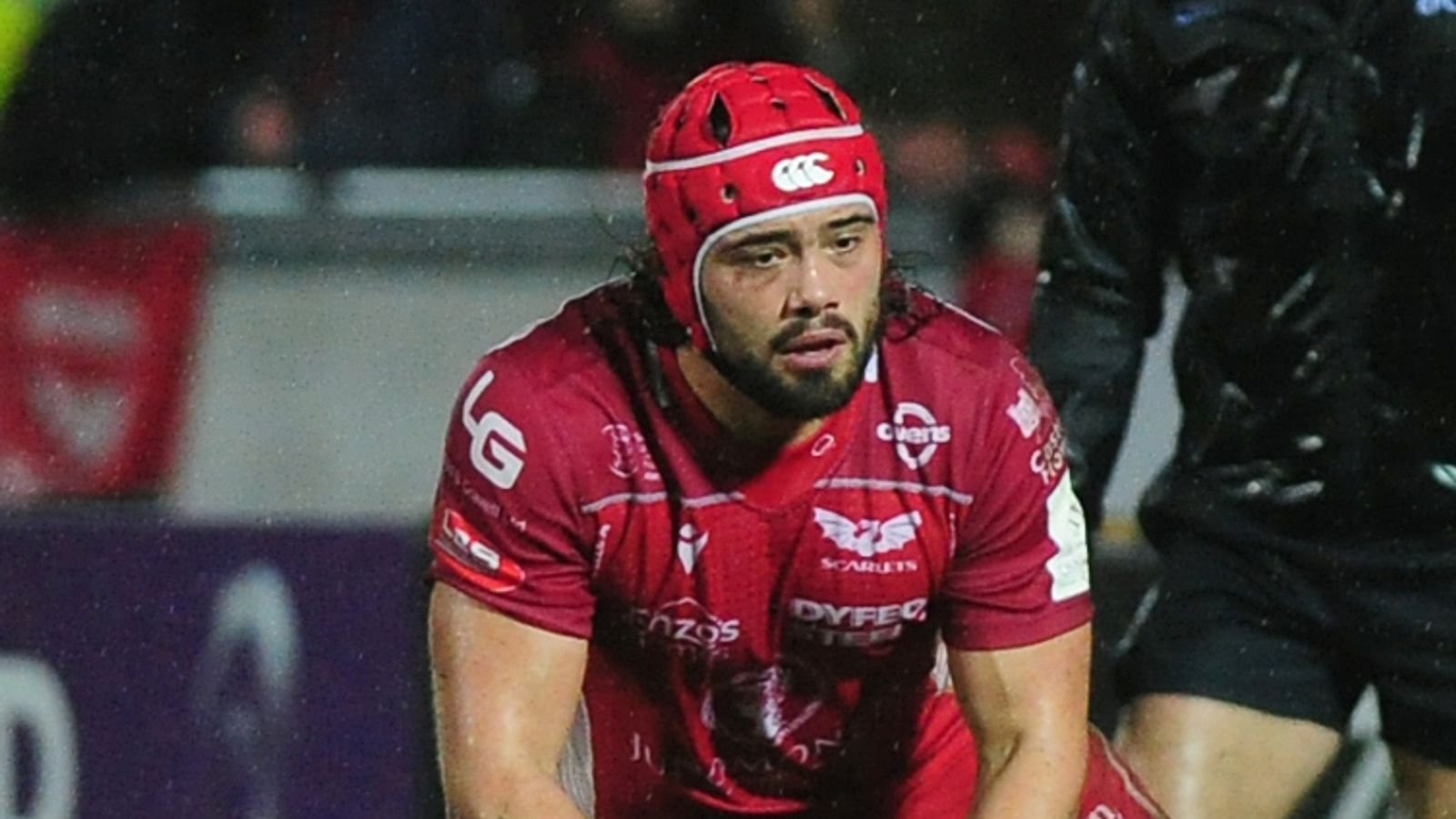 Wales vs Georgia: Josh Macleod in for debut; Josh Adams, Owen Watkin, Rhys Priestland, Ben Carter, Jac Morgan start