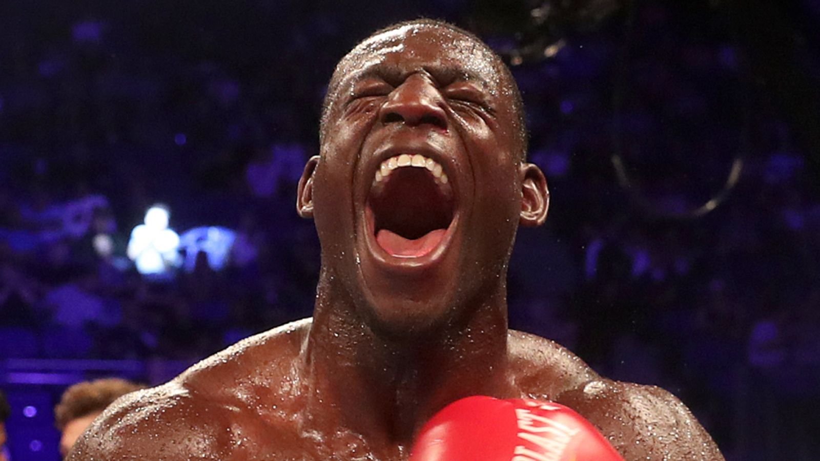 Richard Riakporhe and Chris Billam-Smith can secure world title shots next year - their routes to championship fights revealed