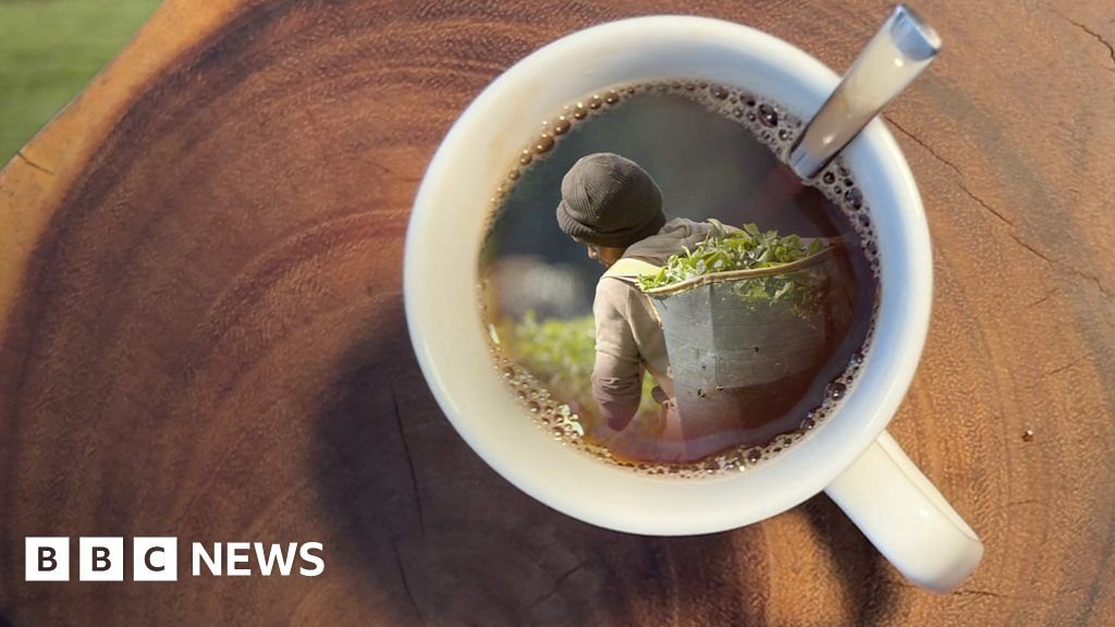 Kenya to investigate 'sex for work' exposed in BBC tea documentary