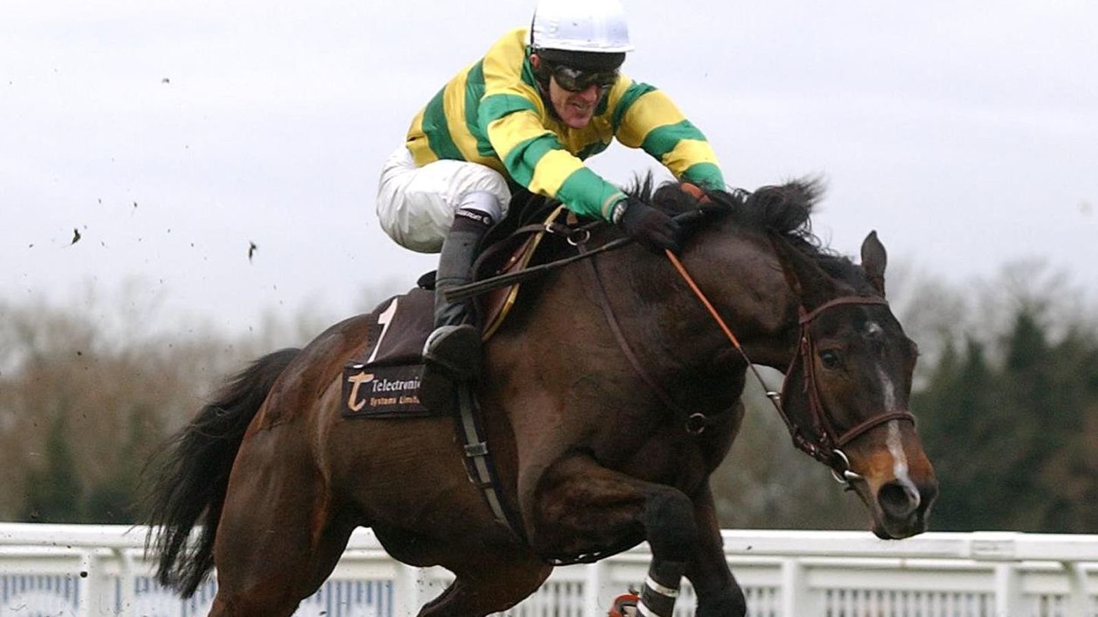 Baracouda and AP McCoy enjoyed plenty of success