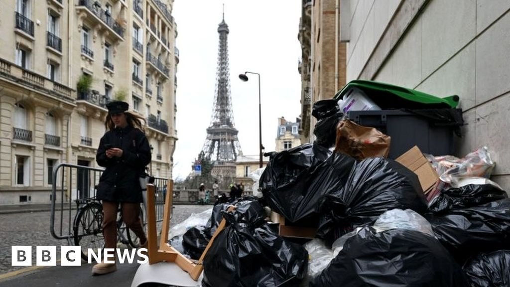 French bin strike: Paris holds its nose as waste piles up