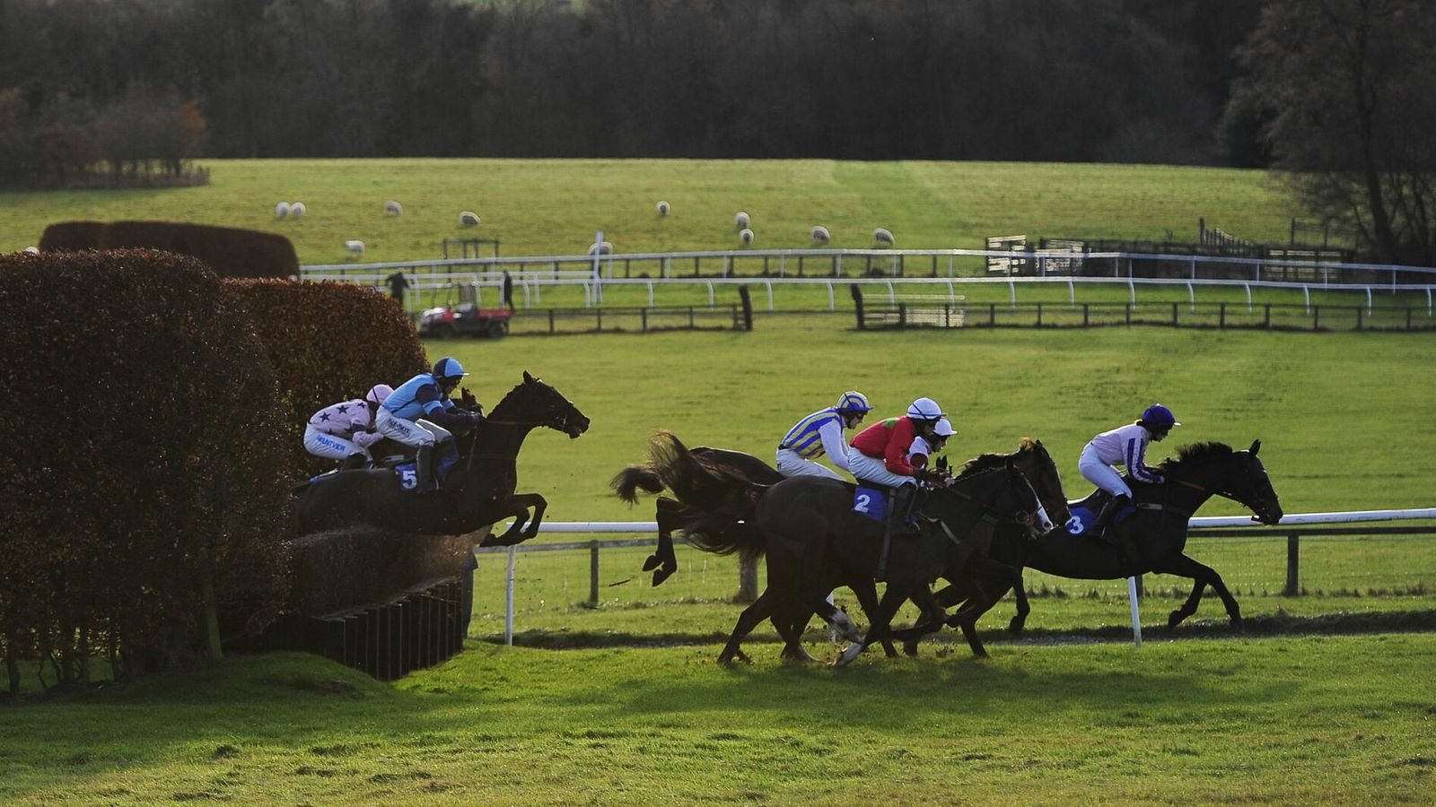 Hexham racecourse