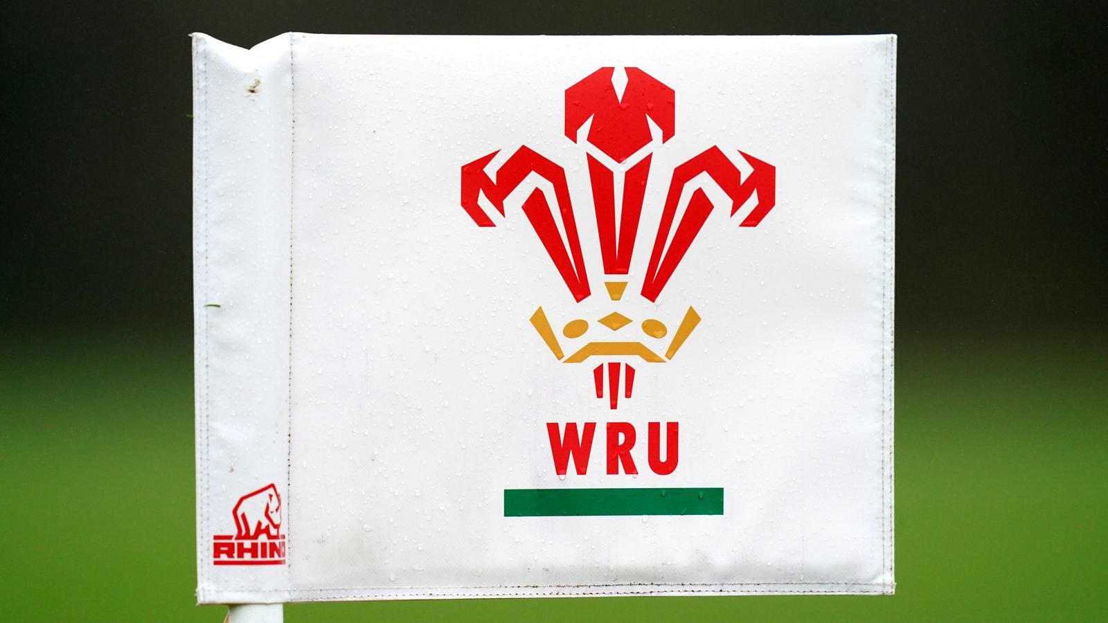 Welsh Rugby Union member clubs vote in favour of major governance reforms