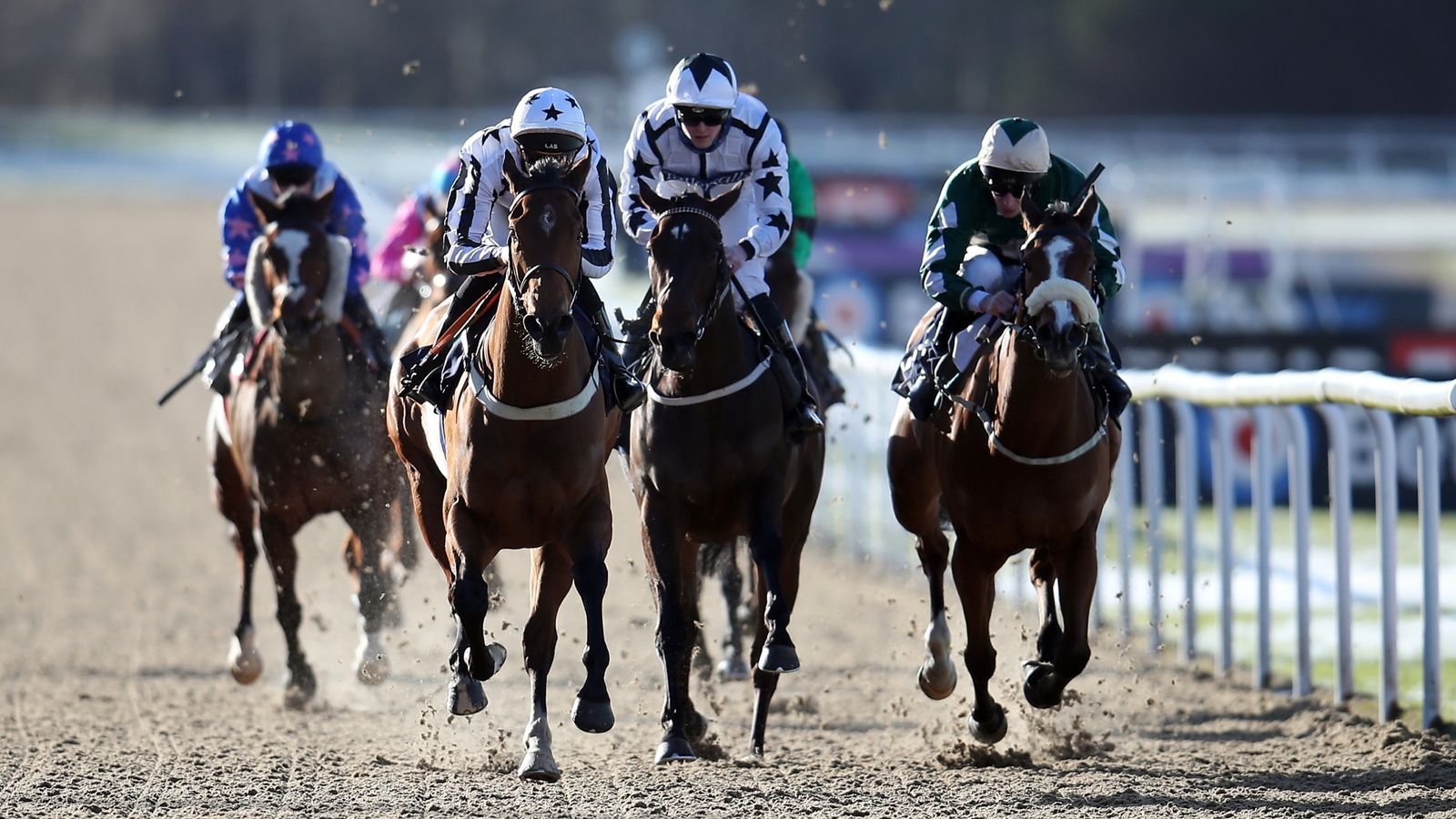 Wolverhampton races general view - Algheed wins
