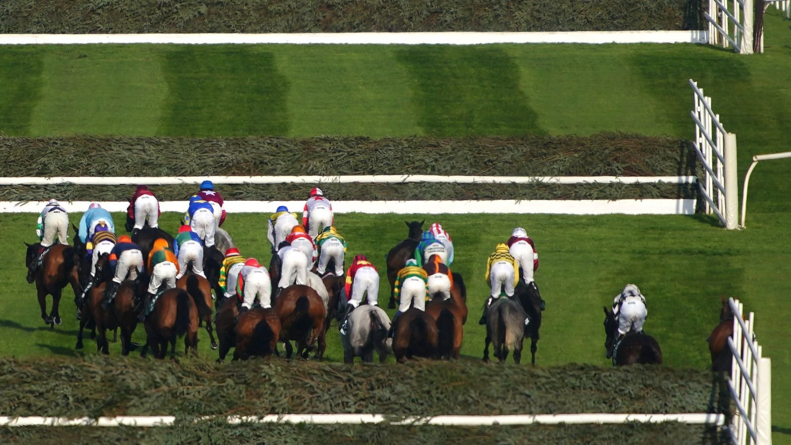 The Grand National field at Aintree