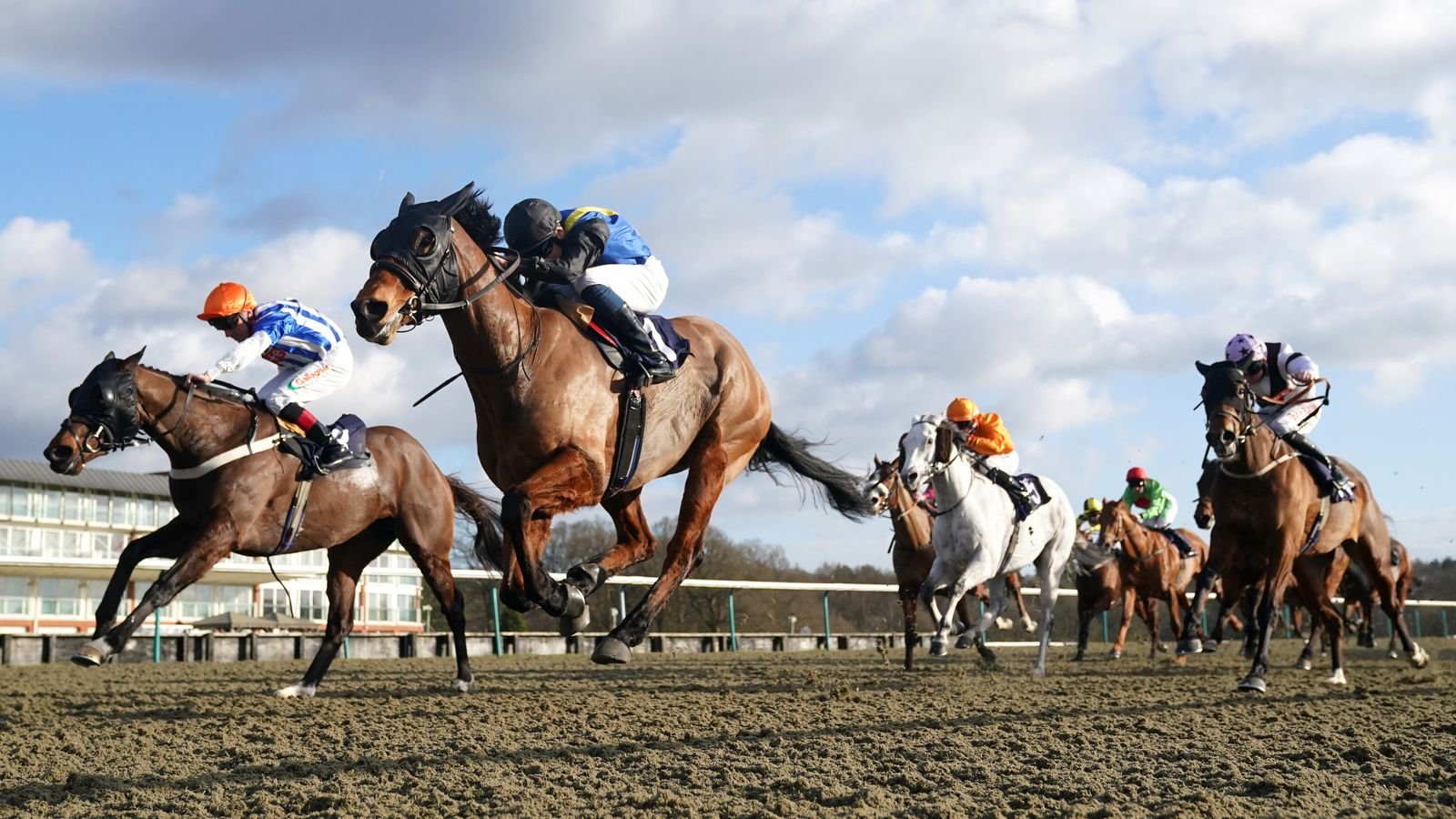 Divine Messenger ridden by Callum Shepherd (second left) on their way to winning at Lingfield