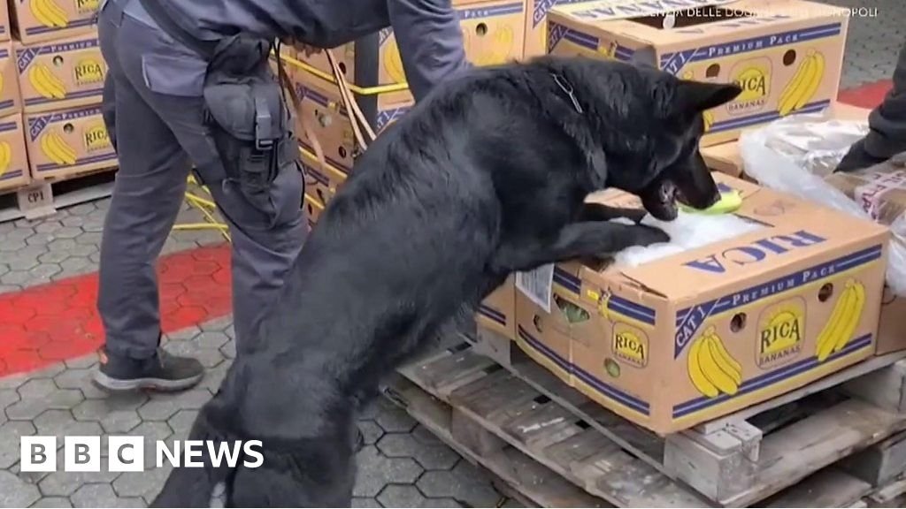 Huge cocaine stash found hidden in banana crates