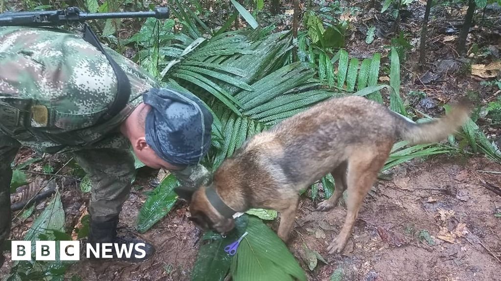Confusion in Colombia over claim missing children found after Amazon crash