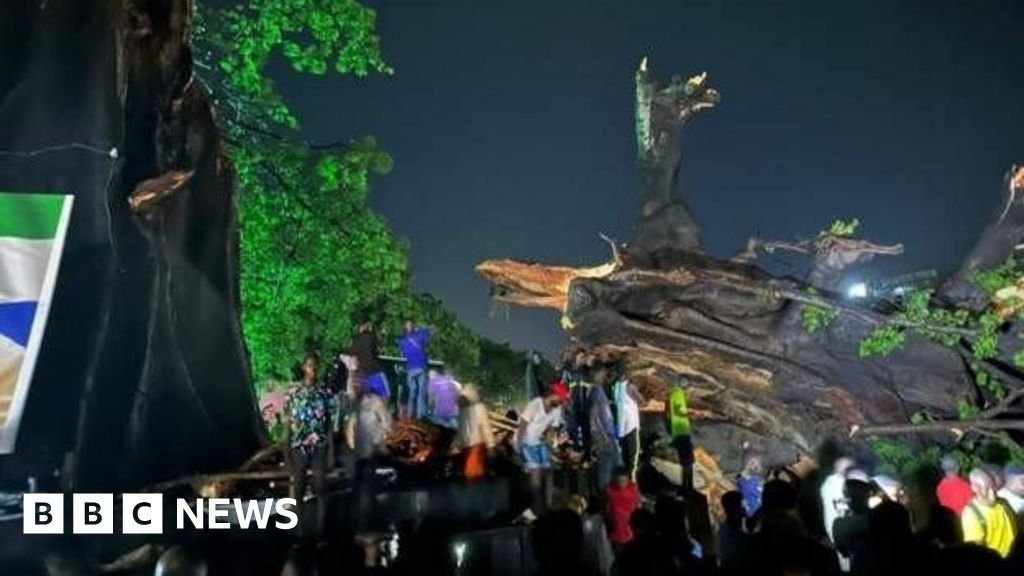 Sierra Leone's iconic cotton tree felled by storm