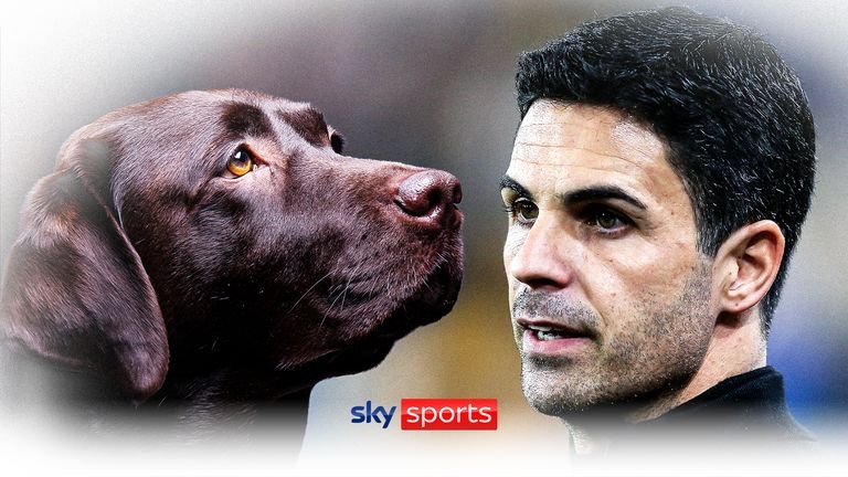 Sky Sports