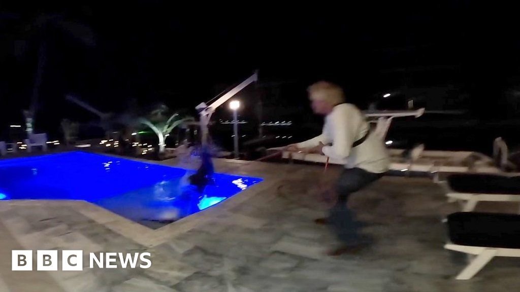 Watch: Trapper wrestles massive alligator from US pool