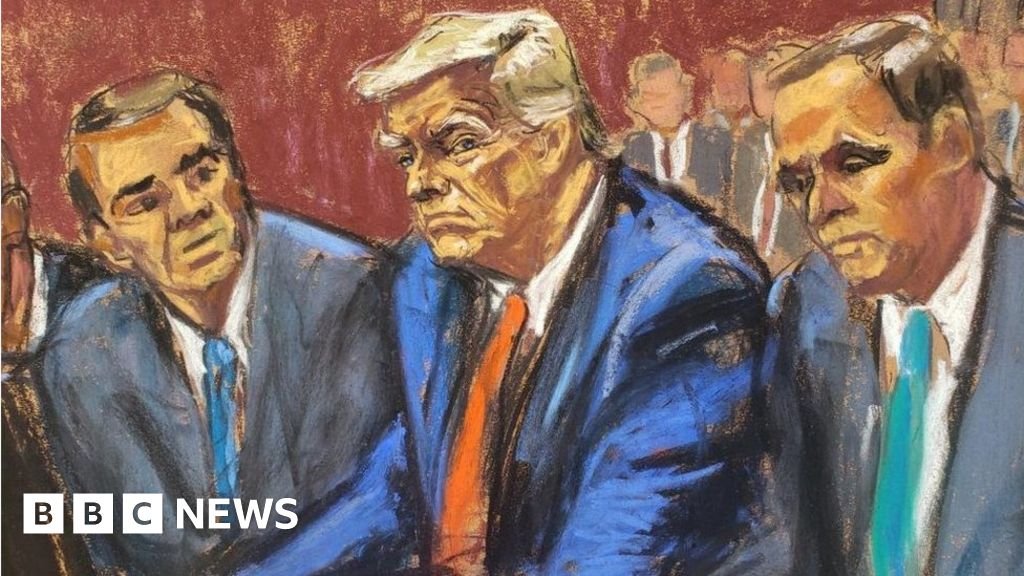 Donald Trump pleads not guilty in arraignment over classified documents