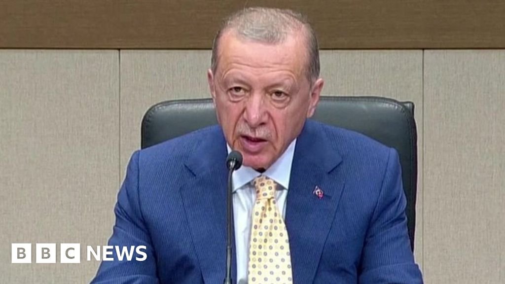 Sweden Nato membership: Turkey calls for new EU membership talks