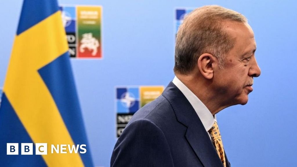 What is Turkey's leader Erdogan up to now?