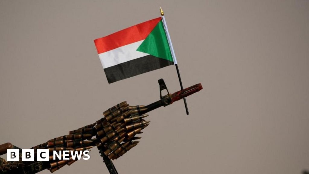 Sudan conflict: 87 people found in Darfur mass grave, UN says