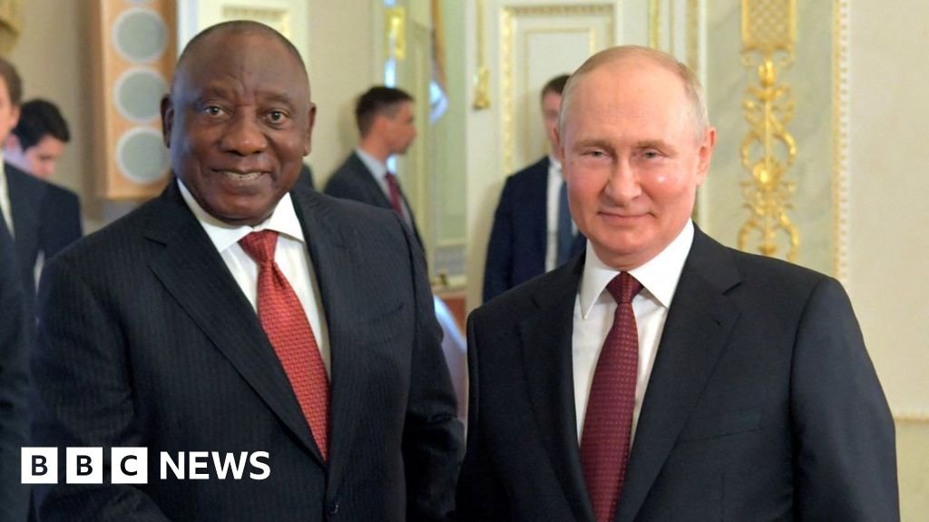 Putin will not attend Brics summit - South African presidency
