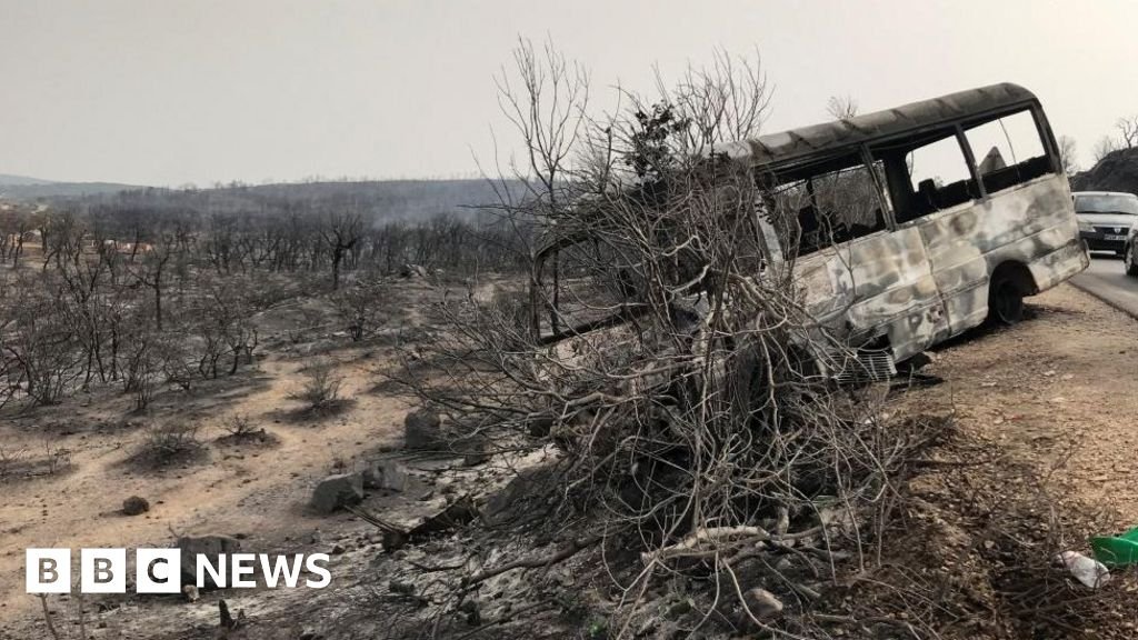Algeria wildfires: Fifteen killed and thousands evacuated