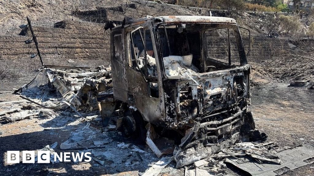 Are arsonists behind Italy's devastating wildfires?