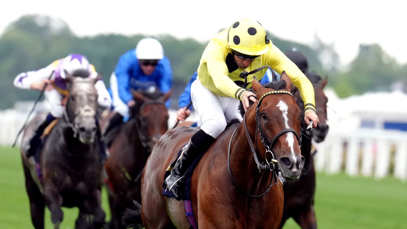 Neil Callan steers Triple Time to victory in the Queen Anne
