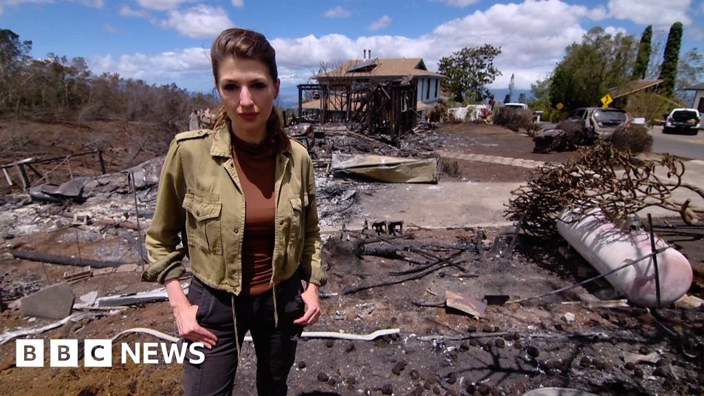 Watch: At the Maui valley flattened by a 'fireball'