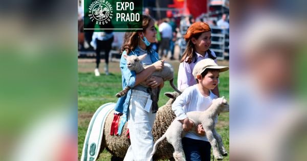 Falklands' delegation to Uruguay's Prado agriculture trade show