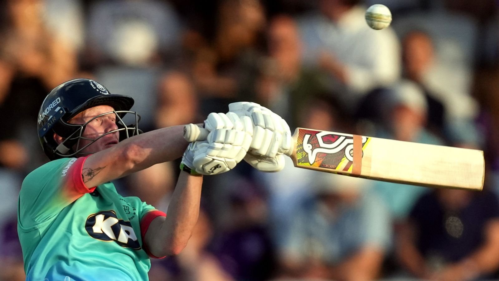 The Hundred: Jordan Cox smashes unbeaten 73 to set up Oval Invincibles win over Northern Superchargers