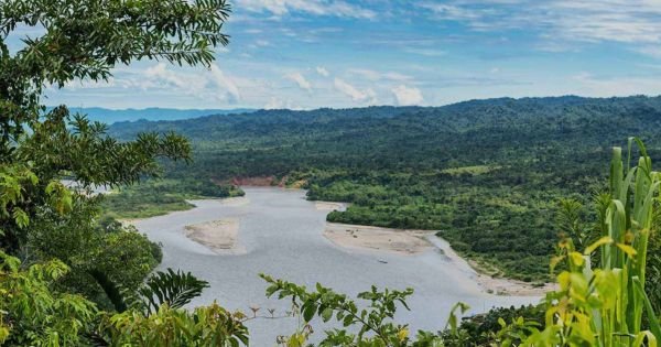 Peru to allocate green debt swap to tropical forest protection in Amazon