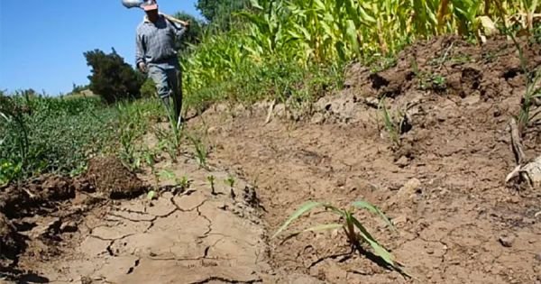 Uruguay: Agriculture emergency lifted except for fruits and horticulture