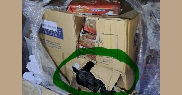 Drug trafficking scandal: How cocaine made it from Uruguay to Belgium undetected?