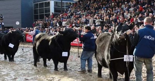 Argentine breeders in UK tour of meat and dairy technology centres